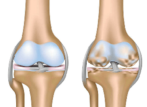 Đi bộ mỗi ngày mang lại những lợi ích gì?